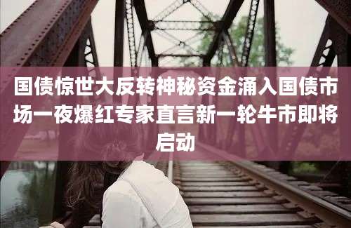 国债惊世大反转神秘资金涌入国债市场一夜爆红专家直言新一轮牛市即将启动