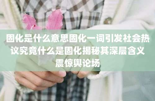 固化是什么意思固化一词引发社会热议究竟什么是固化揭秘其深层含义震惊舆论场
