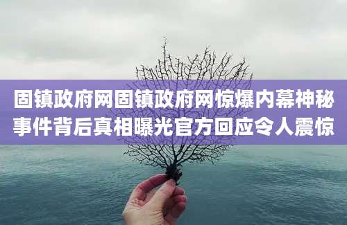 固镇政府网固镇政府网惊爆内幕神秘事件背后真相曝光官方回应令人震惊