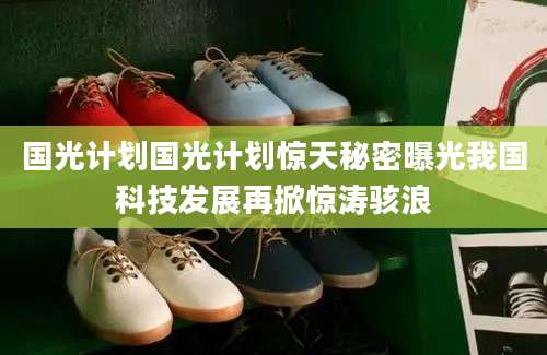 国光计划国光计划惊天秘密曝光我国科技发展再掀惊涛骇浪