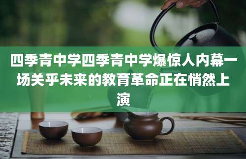 四季青中学四季青中学爆惊人内幕一场关乎未来的教育革命正在悄然上演