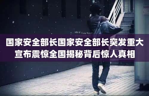 国家安全部长国家安全部长突发重大宣布震惊全国揭秘背后惊人真相