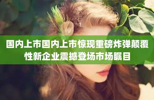 国内上市国内上市惊现重磅炸弹颠覆性新企业震撼登场市场瞩目