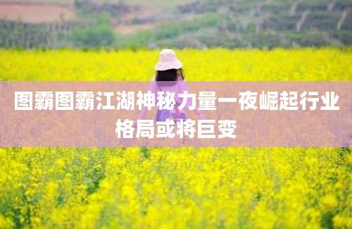 图霸图霸江湖神秘力量一夜崛起行业格局或将巨变
