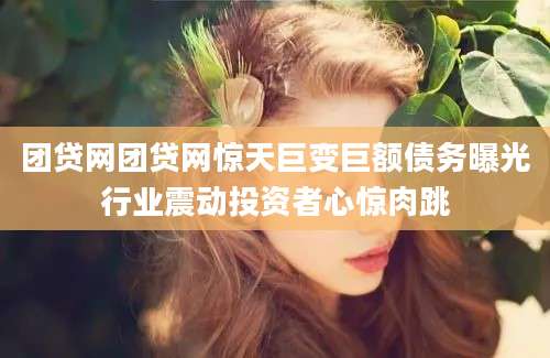 团贷网团贷网惊天巨变巨额债务曝光行业震动投资者心惊肉跳