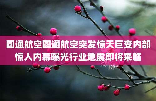 圆通航空圆通航空突发惊天巨变内部惊人内幕曝光行业地震即将来临