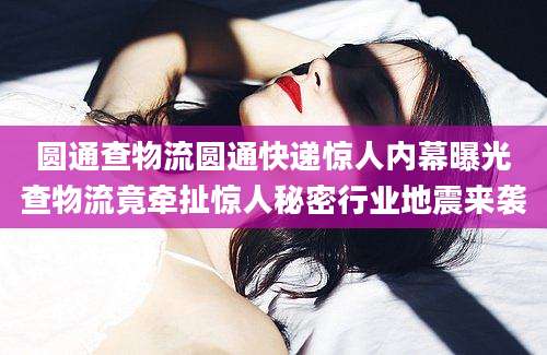 圆通查物流圆通快递惊人内幕曝光查物流竟牵扯惊人秘密行业地震来袭