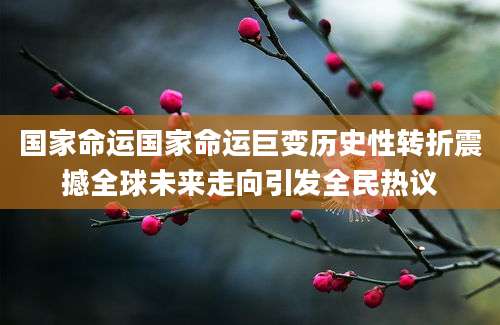 国家命运国家命运巨变历史性转折震撼全球未来走向引发全民热议