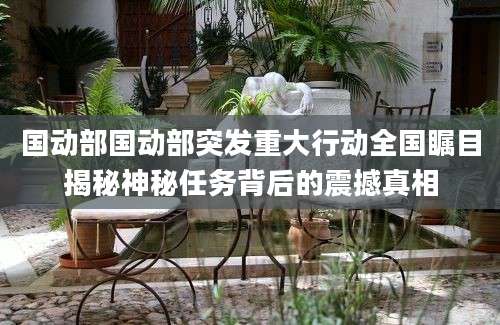 国动部国动部突发重大行动全国瞩目揭秘神秘任务背后的震撼真相