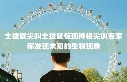 土拨鼠尖叫土拨鼠惊现神秘尖叫专家称发现未知的生物现象