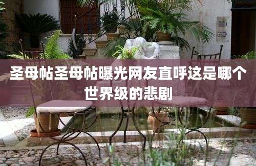 圣母帖圣母帖曝光网友直呼这是哪个世界级的悲剧