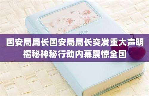 国安局局长国安局局长突发重大声明揭秘神秘行动内幕震惊全国