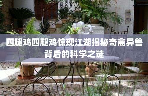 四腿鸡四腿鸡惊现江湖揭秘奇禽异兽背后的科学之谜