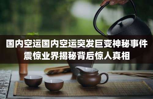 国内空运国内空运突发巨变神秘事件震惊业界揭秘背后惊人真相