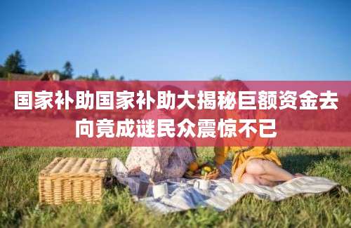 国家补助国家补助大揭秘巨额资金去向竟成谜民众震惊不已