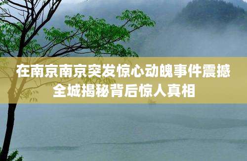 在南京南京突发惊心动魄事件震撼全城揭秘背后惊人真相