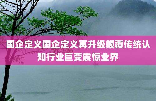 国企定义国企定义再升级颠覆传统认知行业巨变震惊业界