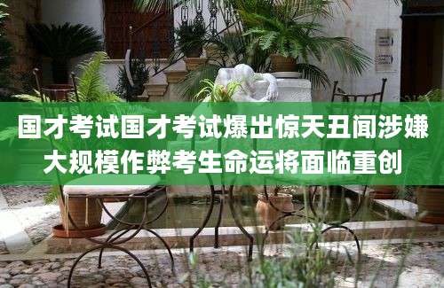 国才考试国才考试爆出惊天丑闻涉嫌大规模作弊考生命运将面临重创