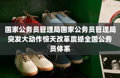 国家公务员管理局国家公务员管理局突发大动作惊天改革震撼全国公务员体系