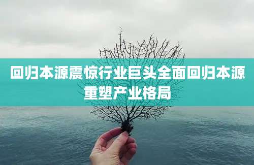 回归本源震惊行业巨头全面回归本源重塑产业格局