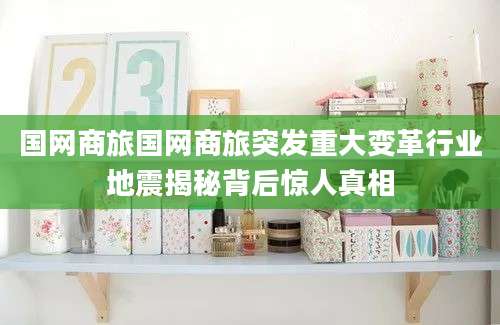 国网商旅国网商旅突发重大变革行业地震揭秘背后惊人真相