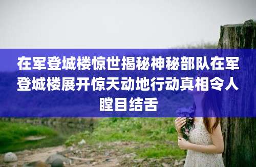 在军登城楼惊世揭秘神秘部队在军登城楼展开惊天动地行动真相令人瞠目结舌