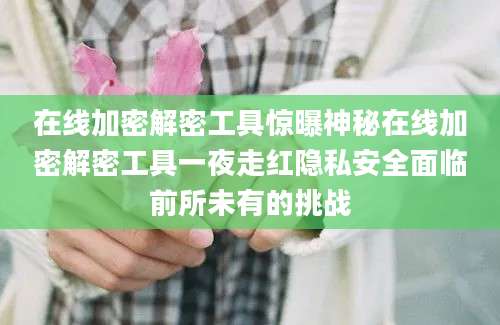 在线加密解密工具惊曝神秘在线加密解密工具一夜走红隐私安全面临前所未有的挑战