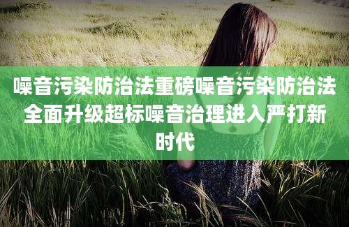 噪音污染防治法重磅噪音污染防治法全面升级超标噪音治理进入严打新时代