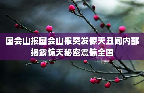国会山报国会山报突发惊天丑闻内部揭露惊天秘密震惊全国