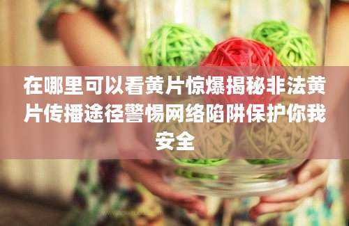 在哪里可以看黄片惊爆揭秘非法黄片传播途径警惕网络陷阱保护你我安全