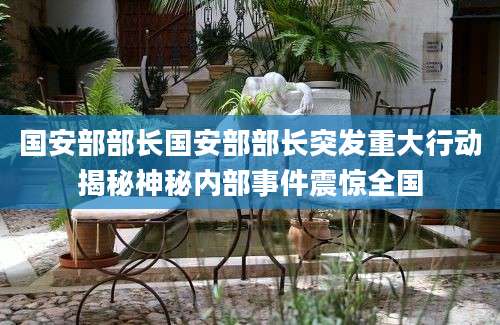 国安部部长国安部部长突发重大行动揭秘神秘内部事件震惊全国