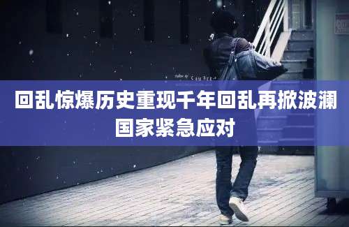 回乱惊爆历史重现千年回乱再掀波澜国家紧急应对