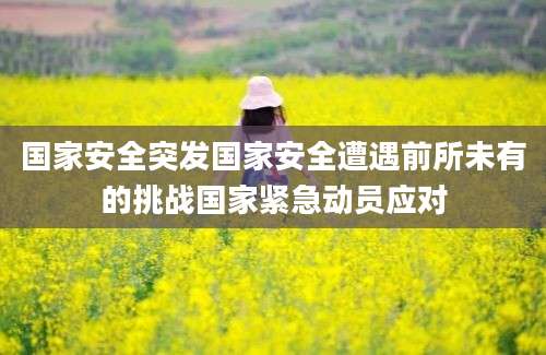 国家安全突发国家安全遭遇前所未有的挑战国家紧急动员应对