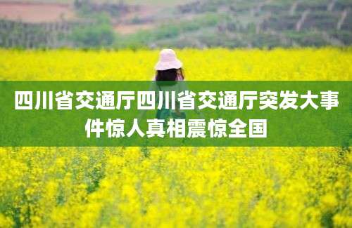 四川省交通厅四川省交通厅突发大事件惊人真相震惊全国