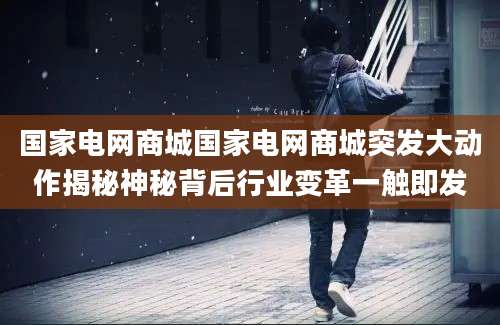 国家电网商城国家电网商城突发大动作揭秘神秘背后行业变革一触即发