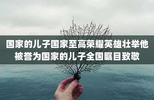 国家的儿子国家至高荣耀英雄壮举他被誉为国家的儿子全国瞩目致敬