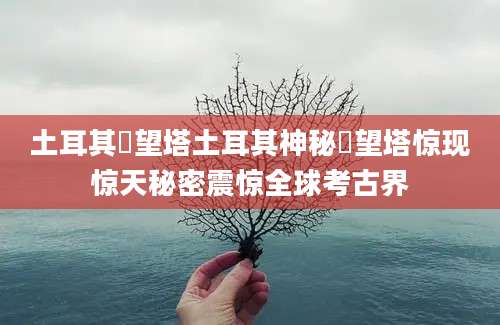 土耳其瞭望塔土耳其神秘瞭望塔惊现惊天秘密震惊全球考古界