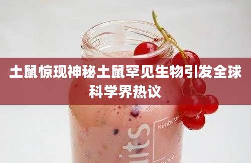 土鼠惊现神秘土鼠罕见生物引发全球科学界热议