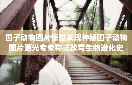围子动物图片惊世发现神秘围子动物图片曝光专家称或改写生物进化史
