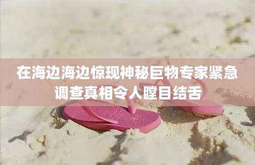 在海边海边惊现神秘巨物专家紧急调查真相令人瞠目结舌