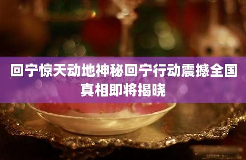 回宁惊天动地神秘回宁行动震撼全国真相即将揭晓