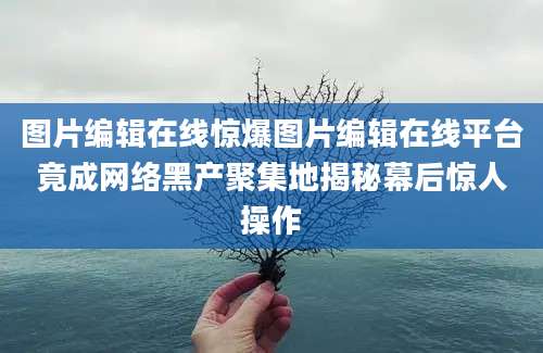 图片编辑在线惊爆图片编辑在线平台竟成网络黑产聚集地揭秘幕后惊人操作