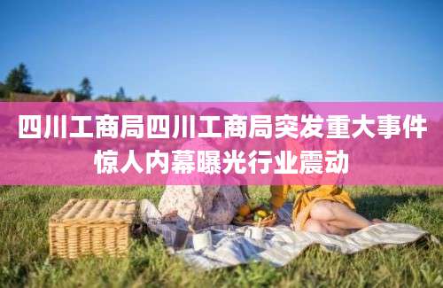 四川工商局四川工商局突发重大事件惊人内幕曝光行业震动