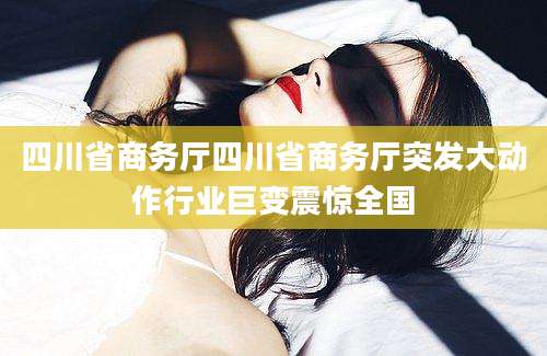 四川省商务厅四川省商务厅突发大动作行业巨变震惊全国