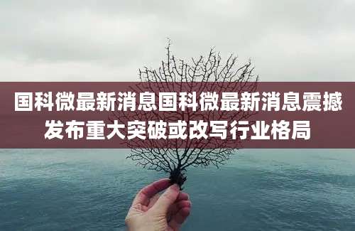 国科微最新消息国科微最新消息震撼发布重大突破或改写行业格局