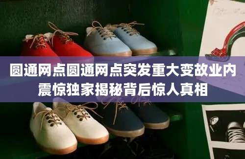 圆通网点圆通网点突发重大变故业内震惊独家揭秘背后惊人真相