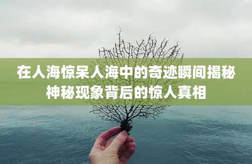 在人海惊呆人海中的奇迹瞬间揭秘神秘现象背后的惊人真相