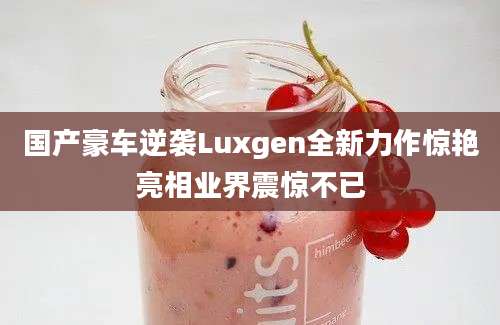 国产豪车逆袭Luxgen全新力作惊艳亮相业界震惊不已