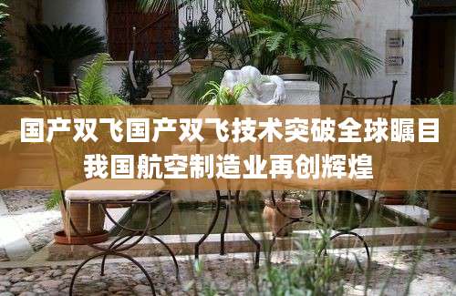 国产双飞国产双飞技术突破全球瞩目我国航空制造业再创辉煌