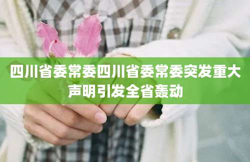 四川省委常委四川省委常委突发重大声明引发全省轰动